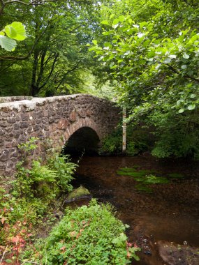 Dartmoor Ulusal Parkı 'nın kıyısındaki North Bovey' deki Bovey Nehri üzerindeki tipik taş köprü Devon, İngiltere