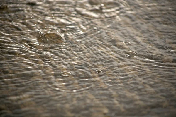 흙탕물 빗방울 — 스톡 사진