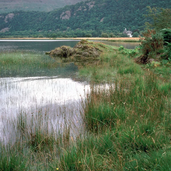 Een Rustige Plek Aan Rand Van Derwentwater Lake District Cumbria — Stockfoto