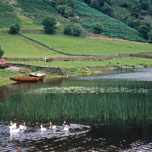 Watendlath Tarn Lake District Камбрия Англия Великобритания Европа — стоковое фото