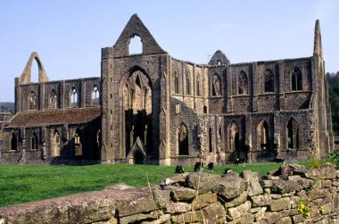 Galler, Gwent, Wye Valley, Tintern, Tintern Abbey
