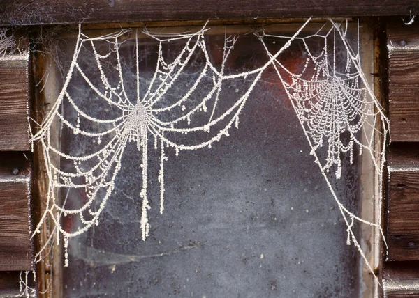 Frostiges Spinnennetz Marodem Schuppenfenster — Stockfoto