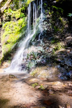 Bieszczady Dağlarında Şelale