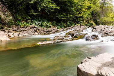 Sine Wiry Doğa rezervi Bieszczady Dağlarında