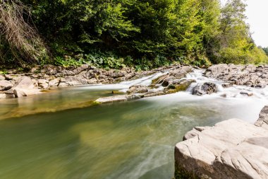 Sine Wiry Doğa rezervi Bieszczady Dağlarında