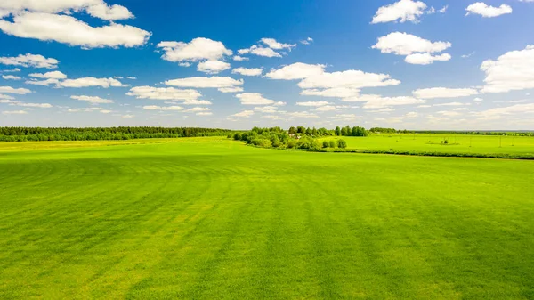 村の背景に広がる草原の夏の写真 — ストック写真