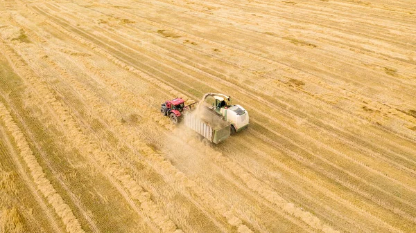 The harvester is working in the field. Combine agricultural machine rides in a wheat field. Harvesting. Aerial view from drone. High quality photo