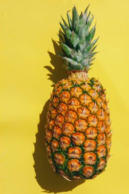 Sarı-beyaz arka planda olgun sulu tropikal ananas. Mesaj için yer var. Tahta bir masada ananas.