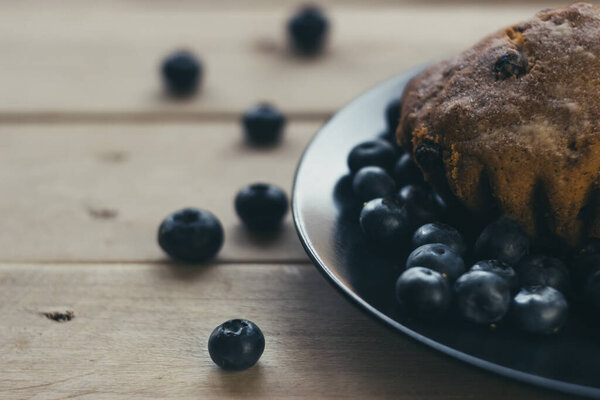 Blueberry muffins with powdered sugar and fresh berry. 