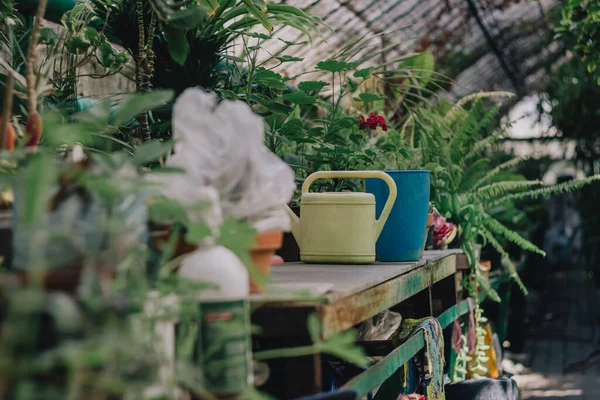 A garden watering can stands on a wooden table with flowers, pots and fertilizers. Photo in the greenhouse. — Stock Photo, Image