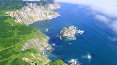 Pasifik Okyanusu, Khalaktursky Sahili. Okyanus kirliliği 2020 Fotoğraf Rusçası 09.10.2020