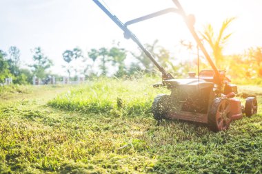 Çim biçme makinesi kesme çim günbatımı.