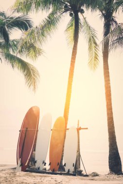 Plaj arka plan üzerinde sörf tahtası ve palmiye ağacı. Macera spor seyahat ve tatil kavramı yaz. Vintage sesi filtre efekti renk stili.
