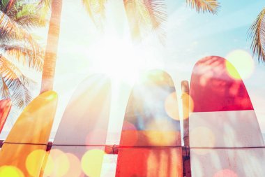 Sahilde sörf tahtası ve palmiye ağacı soyut arkaplan desenli renkli Bokeh güneş ışığına iki kat maruz kalıyor. Yaz tatili ve spor konsepti. Klasik ton filtresi renk biçimi.
