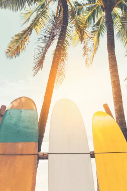 Plaj arka plan üzerinde sörf tahtası ve palmiye ağacı. Macera spor seyahat ve tatil kavramı yaz. Vintage sesi filtre efekti renk stili.