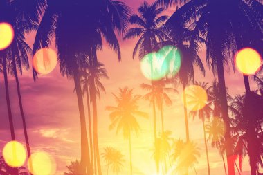 Günbatımı gökyüzü bulut arka plan üzerinde renkli bokeh güneş ışığıyla tropikal palmiye ağacı. Yaz tatili ve doğa macera kavramı seyahat. Vintage sesi filtre efekti renk stili.
