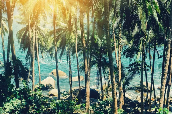 抽象的な背景の青い空とビーチで熱帯ヤシの木 スペース夏休暇休日やビジネス旅行の冒険コンセプトをコピーします ビンテージ トーン フィルター効果カラー スタイル — ストック写真