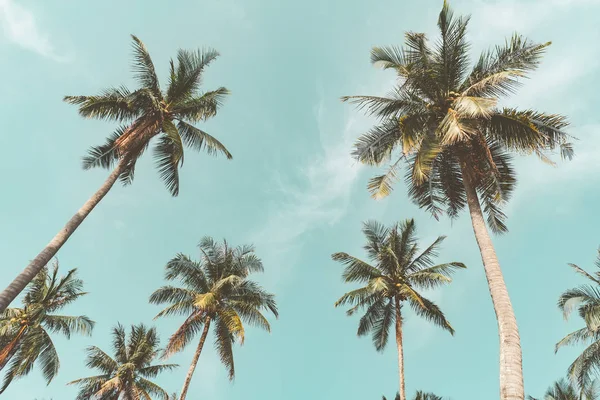 复制空间热带棕榈树与阳光在蓝天和云抽象的背景 暑假与自然旅游冒险的概念 复古色调滤镜效果颜色样式 — 图库照片