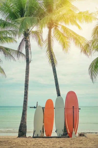 Доска Серфинга Пальмовое Дерево Пляжном Фоне Стиль Цветового Фильтра — стоковое фото