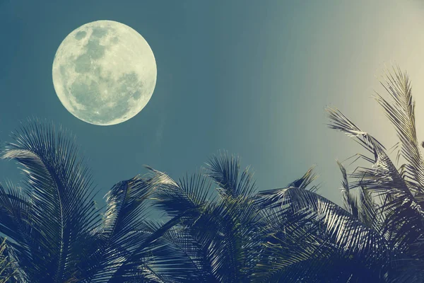야입니다 보름달과 추상적인 배경입니다 공간을 빈티지 스타일 — 스톡 사진