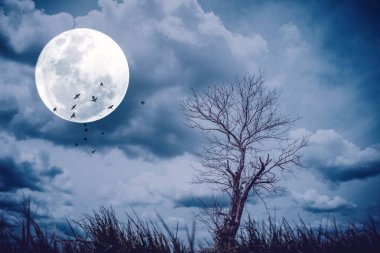 Ağaç dalı kurutulmuş ot ön plan ve kuşlar sinek ile dramatik bulutlu gökyüzü arka plan üzerinde ölü. Boşluk doğa çevre ve Cadılar Bayramı kavramının kopyalayın. Vintage filtre rengi.