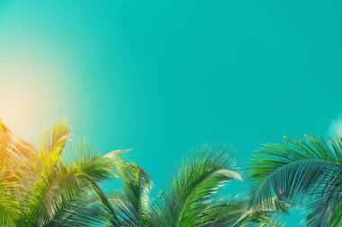 Alanı tropikal palmiye ağacı ile güneş ışığı mavi gökyüzü ve bulut arka plan üzerinde kopyalayın. Yaz tatili ve doğa macera kavramı seyahat. Vintage sesi filtre efekti renk stili.