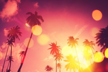 Günbatımı gökyüzü bulut arka plan üzerinde renkli bokeh güneş ışığıyla tropikal palmiye ağacı. Yaz tatili ve doğa macera kavramı seyahat. Vintage sesi filtre efekti renk stili.