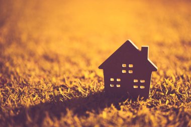 Ev ve yaşam kavramının alanı kopyalayın. Küçük model ev güneş ışığı arka plan ile yeşil çimenlerin üzerinde. Vintage sesi filtre efekti renk stili.