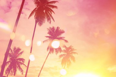 Günbatımı gökyüzü bulut arka plan üzerinde renkli bokeh güneş ışığıyla tropikal palmiye ağacı. Yaz tatili ve doğa macera kavramı seyahat. Vintage sesi filtre efekti renk stili.