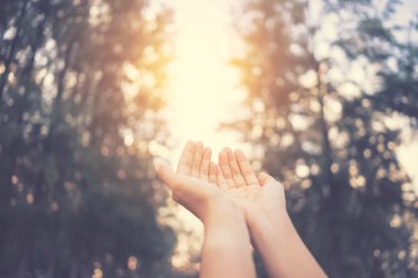 Kadın gün batımına kadar elini açık tut gökyüzü ve yeşil yaprak bokeh güneş ışığı soyut arkaplan. Klasik ton filtre efekti renk biçimi.