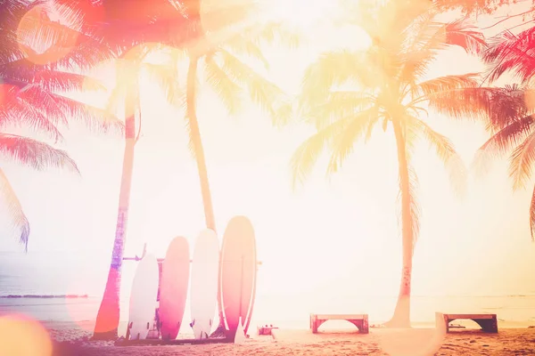 Surfplank Palmboom Het Strand Dubbele Belichting Met Kleurrijke Bokeh Zon — Stockfoto