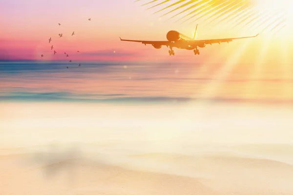 Αεροπλάνο Πετώντας Πάνω Από Θάμπωμα Τροπική Παραλία Palm Φύλλα Πουλί — Φωτογραφία Αρχείου