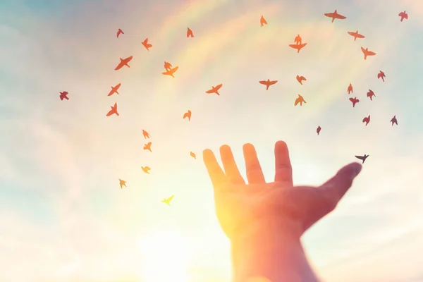 Hombre Levanta Mano Abierta Cielo Del Atardecer Con Pájaros Volar —  Fotos de Stock