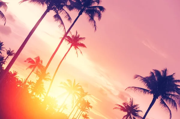 夕焼け雲の抽象的な背景にカラフルなボケ太陽光で熱帯ヤシの木 夏休みと自然の概念冒険旅行します ビンテージ トーン フィルター効果カラー スタイル — ストック写真