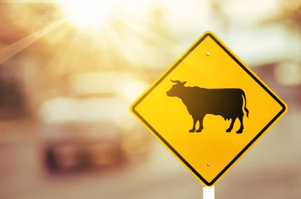 Animal Cow Warning Sign Blur Traffic Road Colorful Bokeh Light — Stock Photo, Image