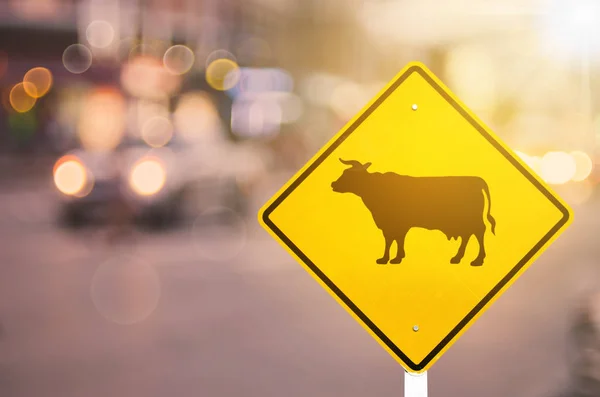 Animal Cow Warning Sign Blur Traffic Road Colorful Bokeh Light — Stock Photo, Image