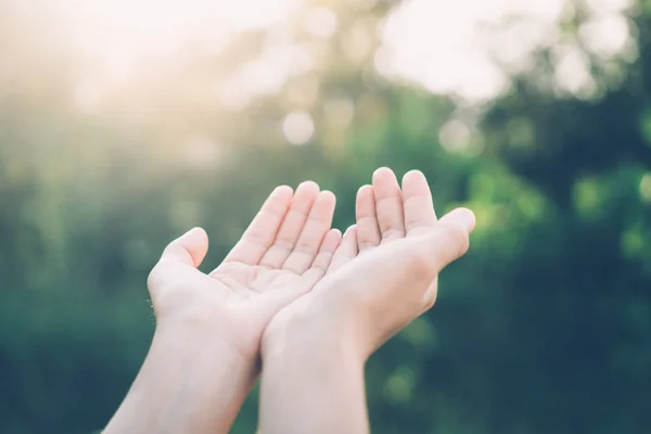 Woman open hand up to sunset sky and green blur leaf bokeh sun light abstract background. Vintage tone filter effect color style.