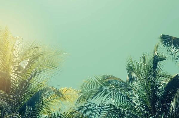 Kopiować Miejsca Tropikalne Palm Tree Promieni Słonecznych Błękitne Niebo Chmury — Zdjęcie stockowe