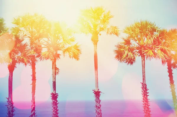 Тропическая Пальма Пляже Голубым Небом Красочным Боке Солнце Свет Абстрактного — стоковое фото