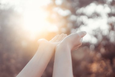 Kadın açık el kadar günbatımı gökyüzü ve yeşil yaprak bokeh güneş ışık arka plan bulanıklık.