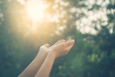 Kadın açık el kadar günbatımı gökyüzü ve yeşil yaprak bokeh güneş ışık arka plan bulanıklık.