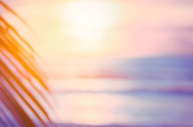 Güzel doğa yeşil palmiye yaprağı bokeh güneş ışık dalga arka plan ile tropik sahilde bulanıklık.