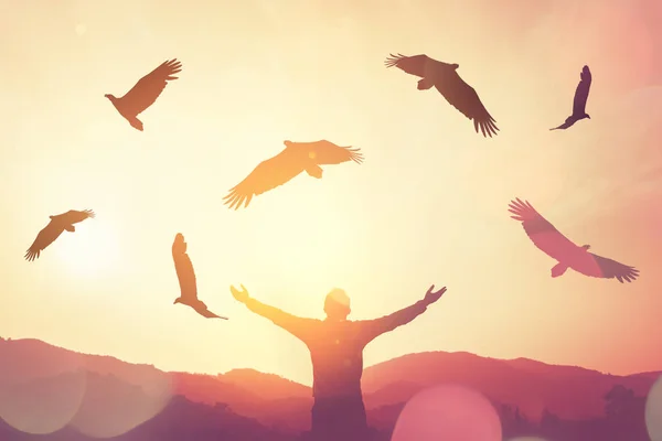 Homem levante a mão, no topo da montanha e pôr do sol o céu com Águia aves voar abstrato. — Fotografia de Stock
