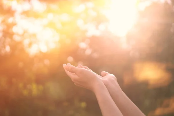 Kadın açık el kadar günbatımı gökyüzü ve yeşil yaprak bokeh güneş ışık arka plan bulanıklık.