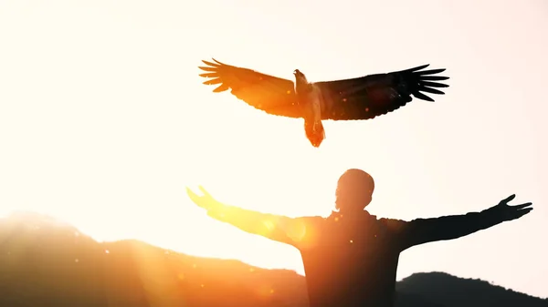 Man raise hand up on top of mountain and sunset sky with eagle bird fly abstract background. — Stock Photo, Image