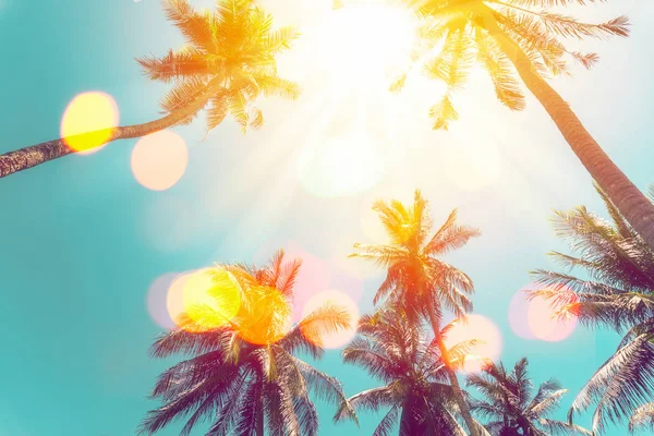 Palmera tropical con colorida luz solar bokeh sobre fondo abstracto de nubes de cielo al atardecer . —  Fotos de Stock