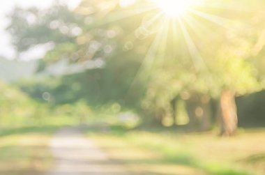 Yeşil doğa parkı ile güneş ışık arka plan bulanıklık.