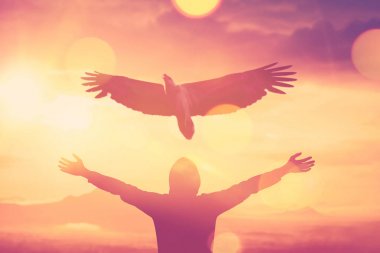 Adam altında el kadar dağ ve günbatımı gökyüzü ile kartal kuş uçmak arka plan üzerine yükseltmek.