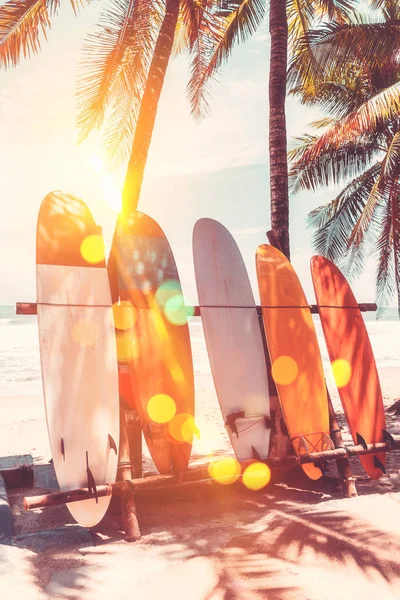 Доска для серфинга и пальмовое дерево на пляжном фоне . — стоковое фото