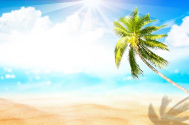 Güzel doğa yeşil palmiye yaprağı bokeh güneş ışık dalga arka plan ile tropik sahilde bulanıklık.